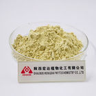 Gynostemma Pentaphyllum Extract Jiaogulan Extract 60% Gypenosides