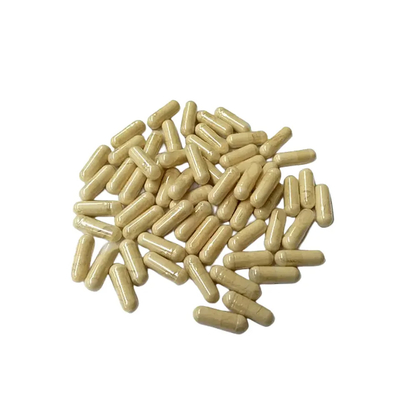 Doğal % 30 Hericium Erinaceus Ekstrakt Kapsülleri HONGDA'dan
